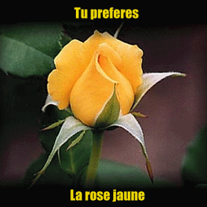 ou belle